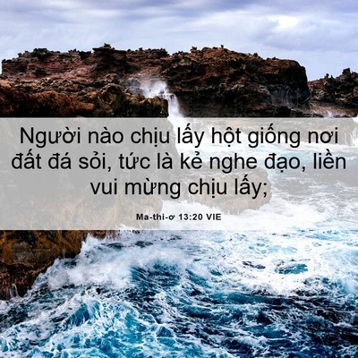 Picture 06 - Ma-thi-ơ 13:20 VIE - Người nào chịu lấy hột giống nơi - Bible Verse Picture