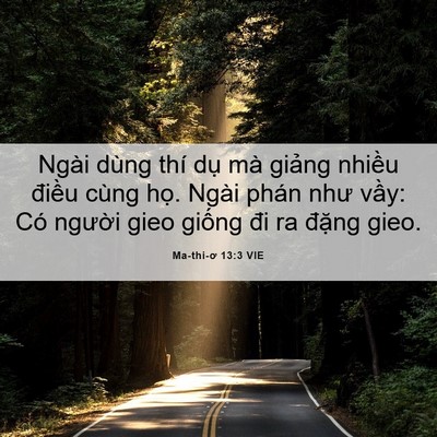 Picture 06 - Ma-thi-ơ 13:3 VIE - Ngài dùng thí dụ mà giảng nhiều điều - Bible Verse Picture