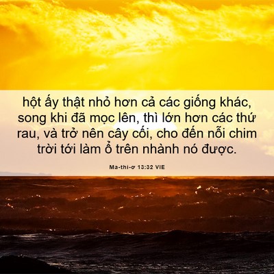 Picture 06 - Ma-thi-ơ 13:32 VIE - hột ấy thật nhỏ hơn cả các giống - Bible Verse Picture