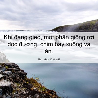 Picture 06 - Ma-thi-ơ 13:4 VIE - Khi đang gieo, một phần giống rơi dọc - Bible Verse Picture