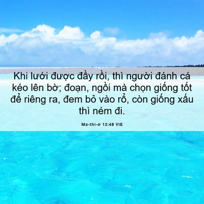Picture 06 - Ma-thi-ơ 13:48 VIE - Khi lưới được đầy rồi, thì người - Bible Verse Picture