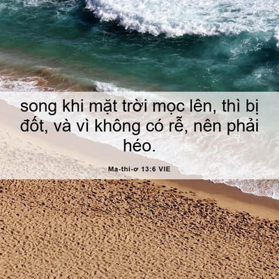 Picture 06 - Ma-thi-ơ 13:6 VIE - song khi mặt trời mọc lên, thì bị - Bible Verse Picture