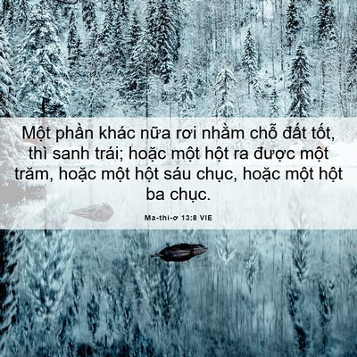Picture 06 - Ma-thi-ơ 13:8 VIE - Một phần khác nữa rơi nhằm chỗ đất - Bible Verse Picture