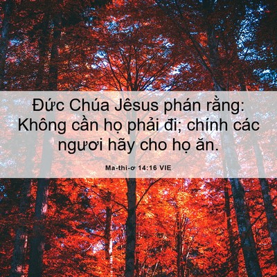 Picture 06 - Ma-thi-ơ 14:16 VIE - Đức Chúa Jêsus phán rằng: Không cần - Bible Verse Picture