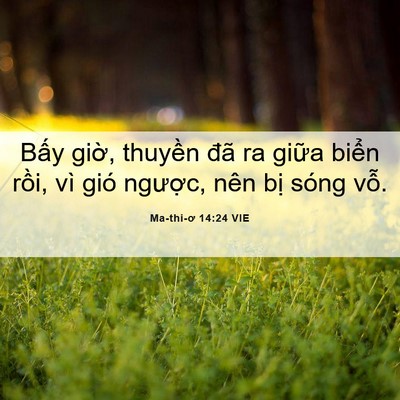 Picture 06 - Ma-thi-ơ 14:24 VIE - Bấy giờ, thuyền đã ra giữa biển - Bible Verse Picture