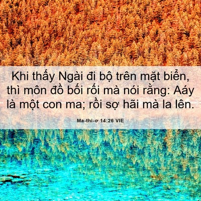 Picture 06 - Ma-thi-ơ 14:26 VIE - Khi thấy Ngài đi bộ trên mặt biển, - Bible Verse Picture