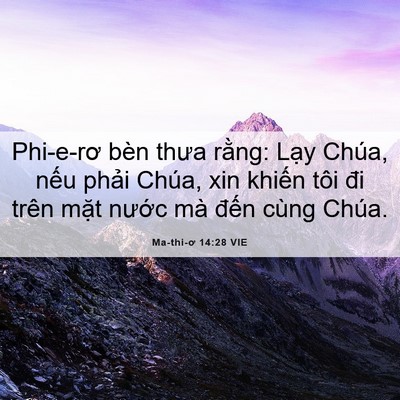 Picture 06 - Ma-thi-ơ 14:28 VIE - Phi-e-rơ bèn thưa rằng: Lạy Chúa, nếu - Bible Verse Picture