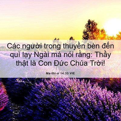 Picture 06 - Ma-thi-ơ 14:33 VIE - Các người trong thuyền bèn đến quì - Bible Verse Picture