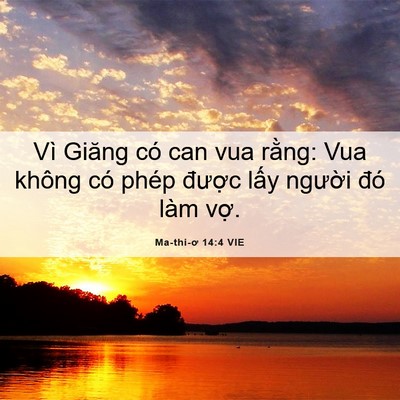 Picture 06 - Ma-thi-ơ 14:4 VIE - Vì Giăng có can vua rằng: Vua không có - Bible Verse Picture