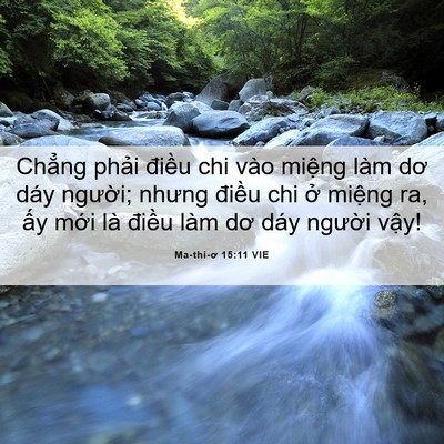Picture 06 - Ma-thi-ơ 15:11 VIE - Chẳng phải điều chi vào miệng làm dơ - Bible Verse Picture