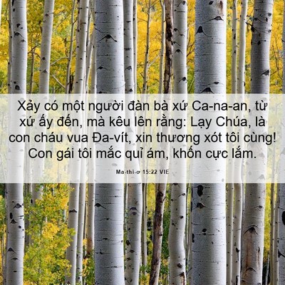 Picture 06 - Ma-thi-ơ 15:22 VIE - Xảy có một người đàn bà xứ Ca-na-an, - Bible Verse Picture