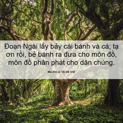 Picture 06 - Ma-thi-ơ 15:36 VIE - Đoạn Ngài lấy bảy cái bánh và cá; - Bible Verse Picture