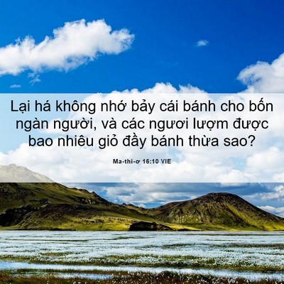 Picture 06 - Ma-thi-ơ 16:10 VIE - Lại há không nhớ bảy cái bánh cho bốn - Bible Verse Picture