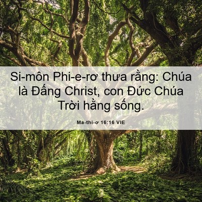 Picture 06 - Ma-thi-ơ 16:16 VIE - Si-môn Phi-e-rơ thưa rằng: Chúa là Đấng - Bible Verse Picture