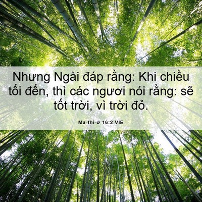 Picture 06 - Ma-thi-ơ 16:2 VIE - Nhưng Ngài đáp rằng: Khi chiều tối - Bible Verse Picture