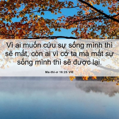 Picture 06 - Ma-thi-ơ 16:25 VIE - Vì ai muốn cứu sự sống mình thì sẽ - Bible Verse Picture