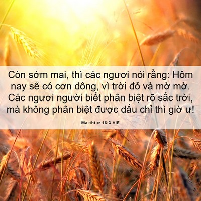 Picture 06 - Ma-thi-ơ 16:3 VIE - Còn sớm mai, thì các ngươi nói rằng: - Bible Verse Picture