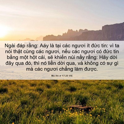 Picture 06 - Ma-thi-ơ 17:20 VIE - Ngài đáp rằng: Aáy là tại các ngươi - Bible Verse Picture