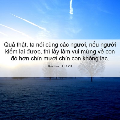 Picture 06 - Ma-thi-ơ 18:13 VIE - Quả thật, ta nói cùng các ngươi, nếu - Bible Verse Picture
