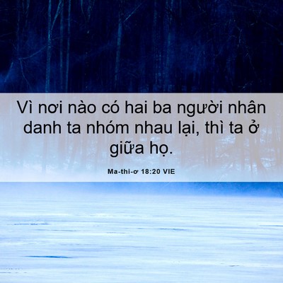 Picture 06 - Ma-thi-ơ 18:20 VIE - Vì nơi nào có hai ba người nhân danh ta - Bible Verse Picture