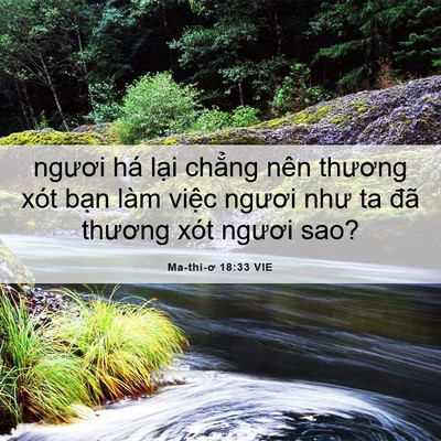 Picture 06 - Ma-thi-ơ 18:33 VIE - ngươi há lại chẳng nên thương xót - Bible Verse Picture