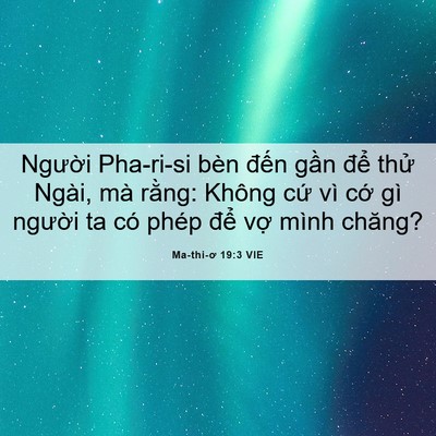 Picture 06 - Ma-thi-ơ 19:3 VIE - Người Pha-ri-si bèn đến gần để thử - Bible Verse Picture