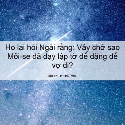 Picture 06 - Ma-thi-ơ 19:7 VIE - Họ lại hỏi Ngài rằng: Vậy chớ sao - Bible Verse Picture