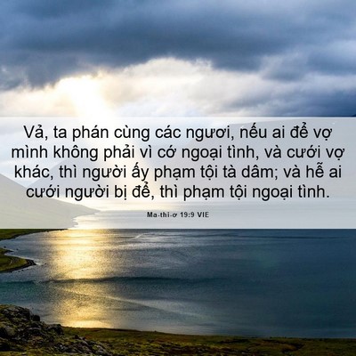 Picture 06 - Ma-thi-ơ 19:9 VIE - Vả, ta phán cùng các ngươi, nếu ai để - Bible Verse Picture