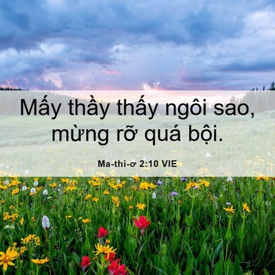 Picture 06 - Ma-thi-ơ 2:10 VIE - Mấy thầy thấy ngôi sao, mừng rỡ quá - Bible Verse Picture