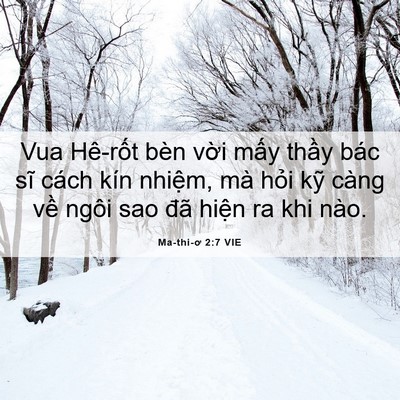 Picture 06 - Ma-thi-ơ 2:7 VIE - Vua Hê-rốt bèn vời mấy thầy bác sĩ - Bible Verse Picture