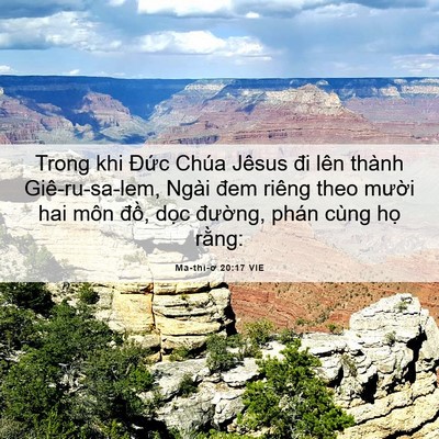 Picture 06 - Ma-thi-ơ 20:17 VIE - Trong khi Đức Chúa Jêsus đi lên thành - Bible Verse Picture