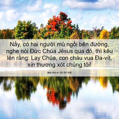 Picture 06 - Ma-thi-ơ 20:30 VIE - Nầy, có hai người mù ngồi bên - Bible Verse Picture