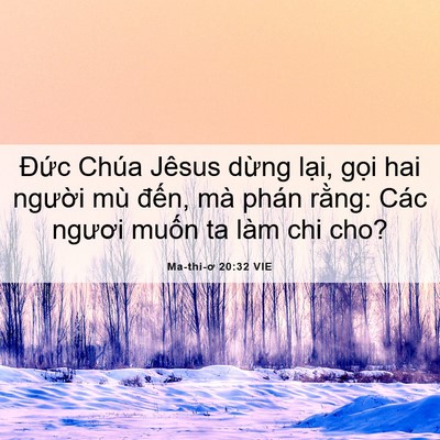 Picture 06 - Ma-thi-ơ 20:32 VIE - Đức Chúa Jêsus dừng lại, gọi hai - Bible Verse Picture