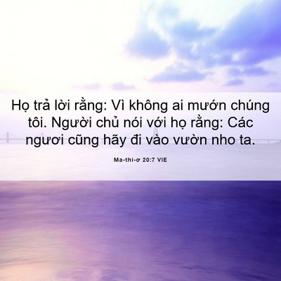 Picture 06 - Ma-thi-ơ 20:7 VIE - Họ trả lời rằng: Vì không ai mướn - Bible Verse Picture