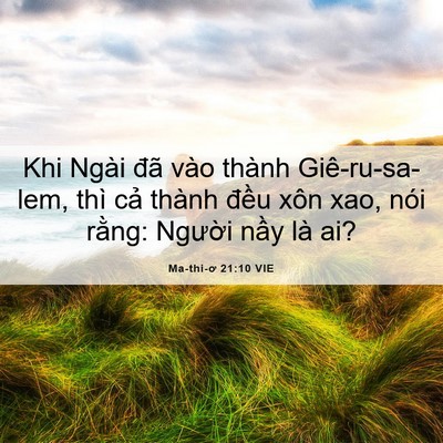 Picture 06 - Ma-thi-ơ 21:10 VIE - Khi Ngài đã vào thành Giê-ru-sa-lem, thì - Bible Verse Picture