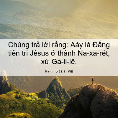 Picture 06 - Ma-thi-ơ 21:11 VIE - Chúng trả lời rằng: Aáy là Đấng tiên - Bible Verse Picture