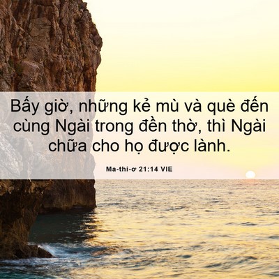 Picture 06 - Ma-thi-ơ 21:14 VIE - Bấy giờ, những kẻ mù và què đến - Bible Verse Picture