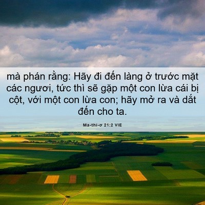 Picture 06 - Ma-thi-ơ 21:2 VIE - mà phán rằng: Hãy đi đến làng ở - Bible Verse Picture
