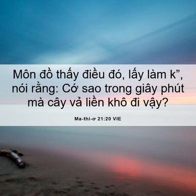 Picture 06 - Ma-thi-ơ 21:20 VIE - Môn đồ thấy điều đó, lấy làm k”, - Bible Verse Picture