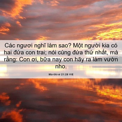Picture 06 - Ma-thi-ơ 21:28 VIE - Các ngươi nghĩ làm sao? Một người kia - Bible Verse Picture