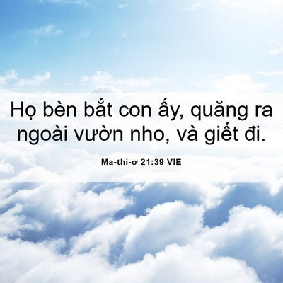 Picture 06 - Ma-thi-ơ 21:39 VIE - Họ bèn bắt con ấy, quăng ra ngoài - Bible Verse Picture