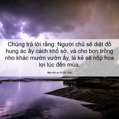 Picture 06 - Ma-thi-ơ 21:41 VIE - Chúng trả lời rằng: Người chủ sẽ - Bible Verse Picture