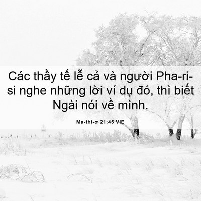 Picture 06 - Ma-thi-ơ 21:45 VIE - Các thầy tế lễ cả và người Pha-ri-si - Bible Verse Picture