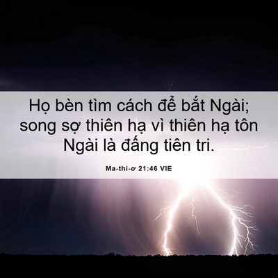 Picture 06 - Ma-thi-ơ 21:46 VIE - Họ bèn tìm cách để bắt Ngài; song sợ - Bible Verse Picture