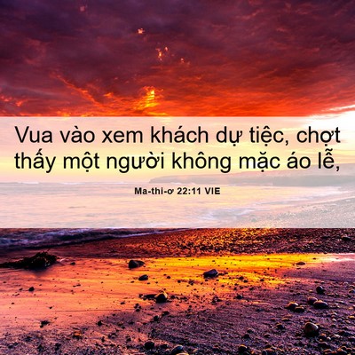 Picture 06 - Ma-thi-ơ 22:11 VIE - Vua vào xem khách dự tiệc, chợt thấy - Bible Verse Picture