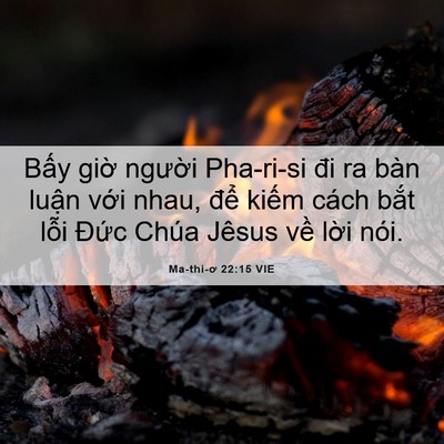 Picture 06 - Ma-thi-ơ 22:15 VIE - Bấy giờ người Pha-ri-si đi ra bàn luận - Bible Verse Picture