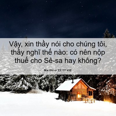 Picture 06 - Ma-thi-ơ 22:17 VIE - Vậy, xin thầy nói cho chúng tôi, thầy - Bible Verse Picture