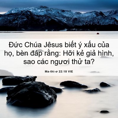 Picture 06 - Ma-thi-ơ 22:18 VIE - Đức Chúa Jêsus biết ý xấu của họ, - Bible Verse Picture