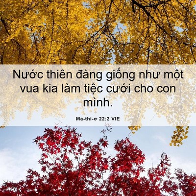 Picture 06 - Ma-thi-ơ 22:2 VIE - Nước thiên đàng giống như một vua kia - Bible Verse Picture