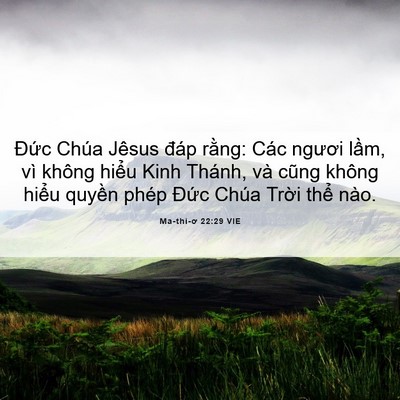 Picture 06 - Ma-thi-ơ 22:29 VIE - Đức Chúa Jêsus đáp rằng: Các ngươi - Bible Verse Picture
